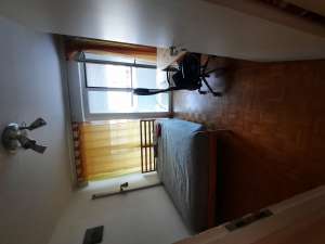 2-person student apartment near Steinertor for rent